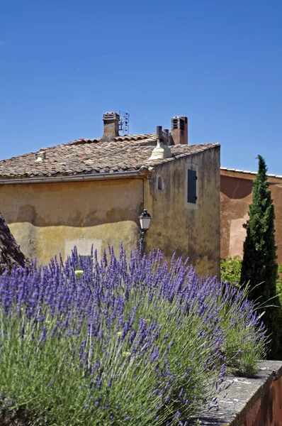 Lavanta ' Provence'de küçük bir köyde — Stok fotoğraf