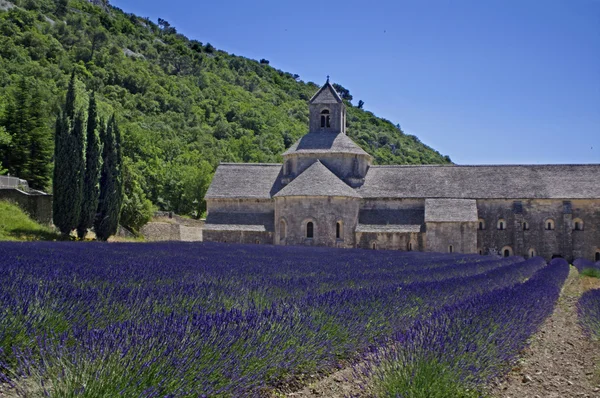修道院的 senanque，普罗旺斯，法国 — 图库照片