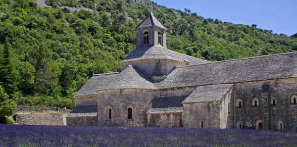修道院的 senanque，普罗旺斯，法国 — 图库照片