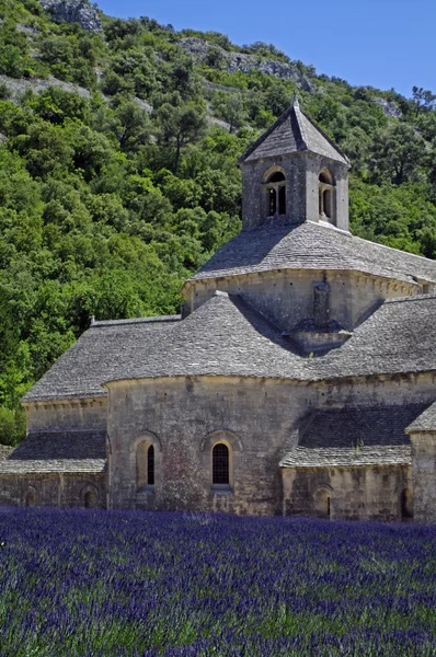 Abadía de Senanque, Provenza, Francia — Foto de Stock