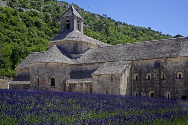 Abbey of Senanque,Provence,France — Stock Photo, Image