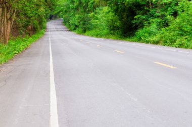 Forest Road