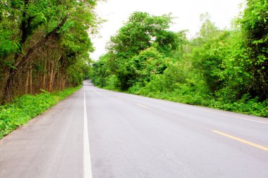 Forest Road