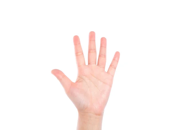 白い背景の上 5 を意味する手の記号 — ストック写真