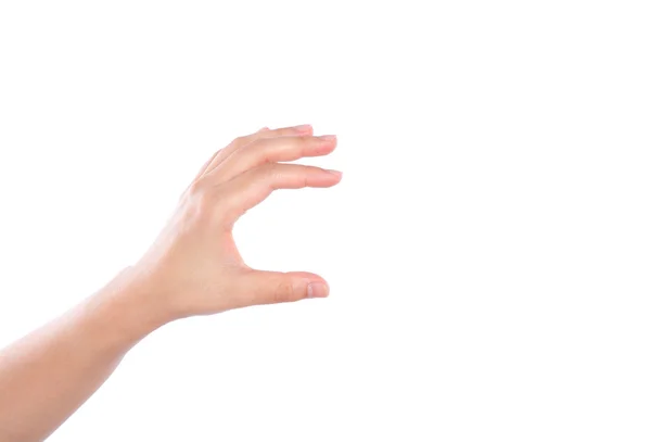 Рука женщины на белом фоне — стоковое фото