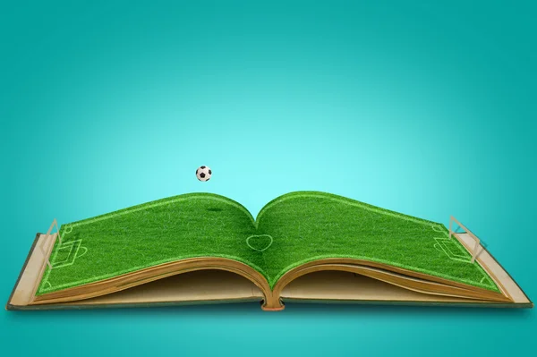 Open green grass book Of soccer stadium with football — Stock Photo, Image
