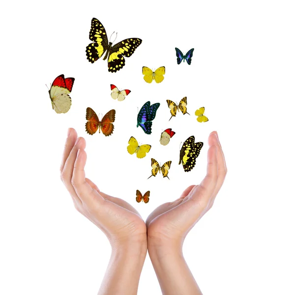 stock image Hand holding butterflies