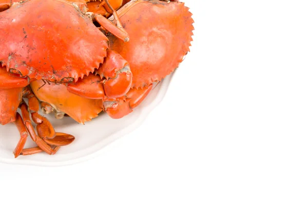 Steamed crabs on white plate — Stock Photo, Image