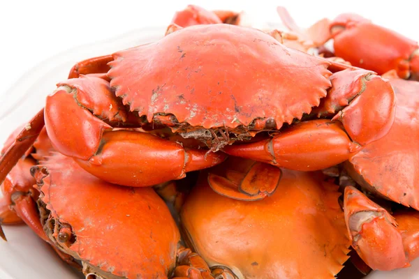 stock image Steamed crabs on white plate