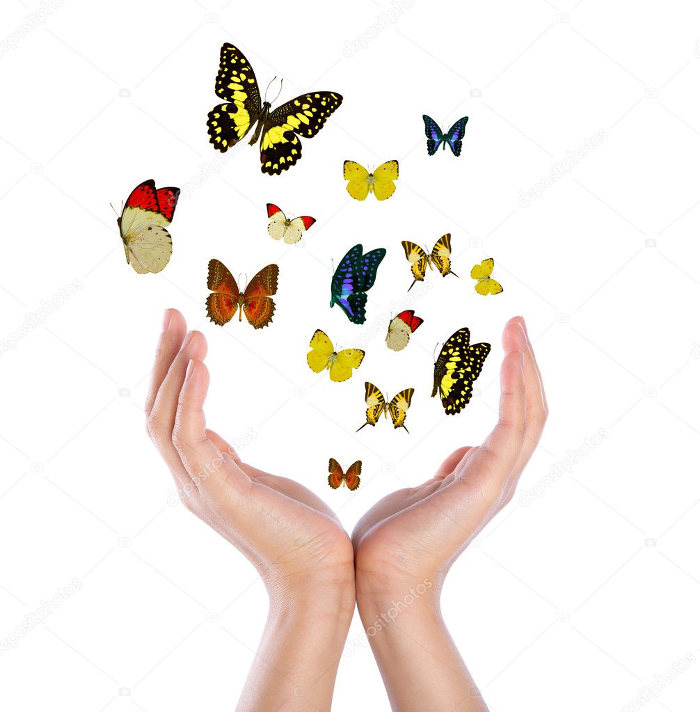 Hand holding butterflies