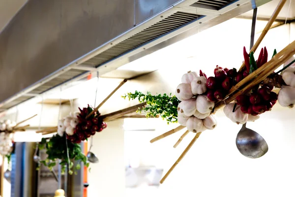 Onion an garlic braid hanged in kitchen — Stock Photo, Image