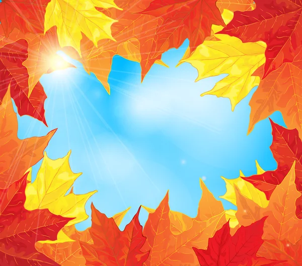 Frame of autumn maple leaves — Stock Vector