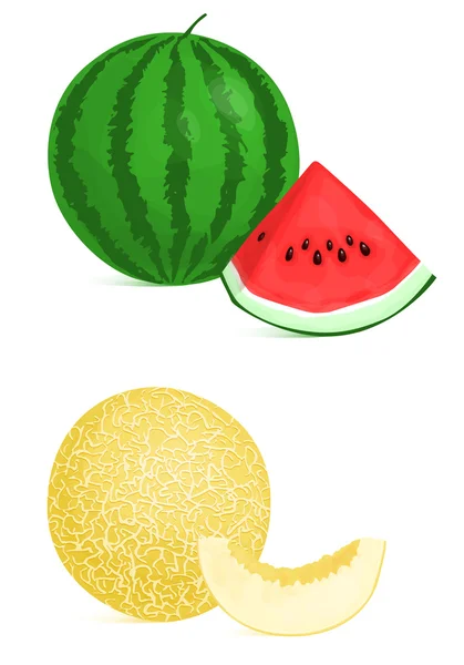 甜瓜和西瓜 — 图库矢量图片