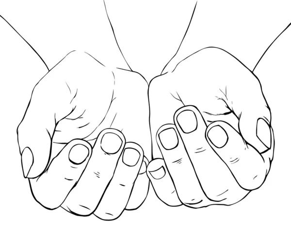Cuppé mains féminines — Image vectorielle