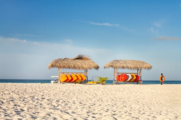 Cocos y sofás de playa con cielo azul — Foto de Stock