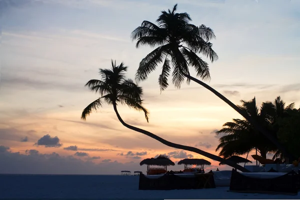 Alberi di cocco e divani da spiaggia con cielo blu — Foto Stock