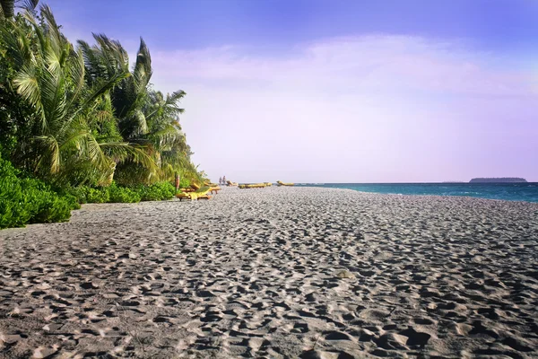 ココナッツの木々 と青い空とビーチ ソファ — ストック写真