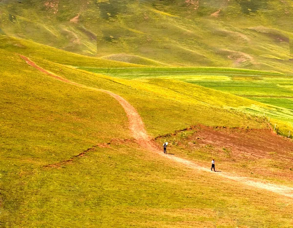 Paesaggio foto di palo passeggiando lungo una strada in pianura e collina — Foto Stock