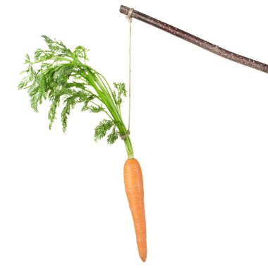 Carrot on a stick on white clipart