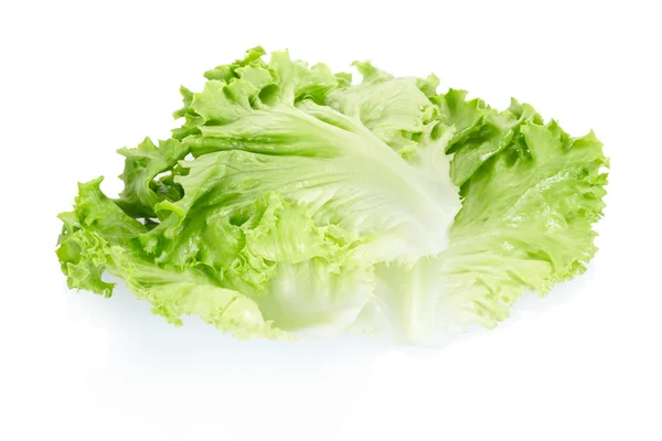 Green salad leaves — Stock Photo, Image