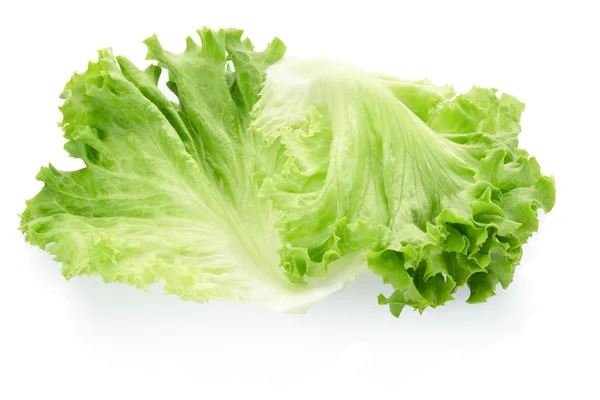 Salatblätter auf weiß — Stockfoto