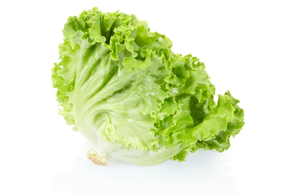 Grüner Salatkopf — Stockfoto
