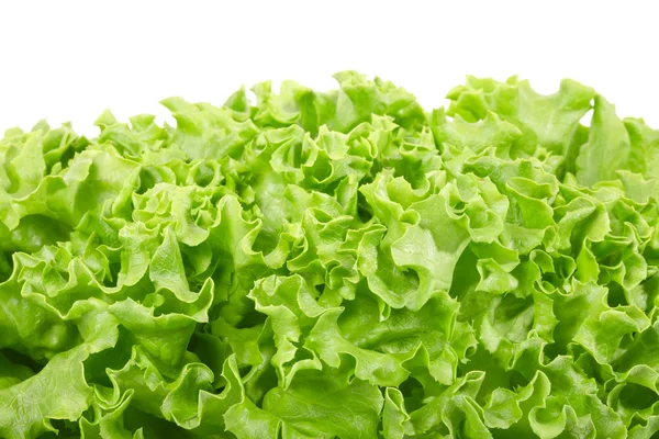 Green salad border — Stock Photo, Image