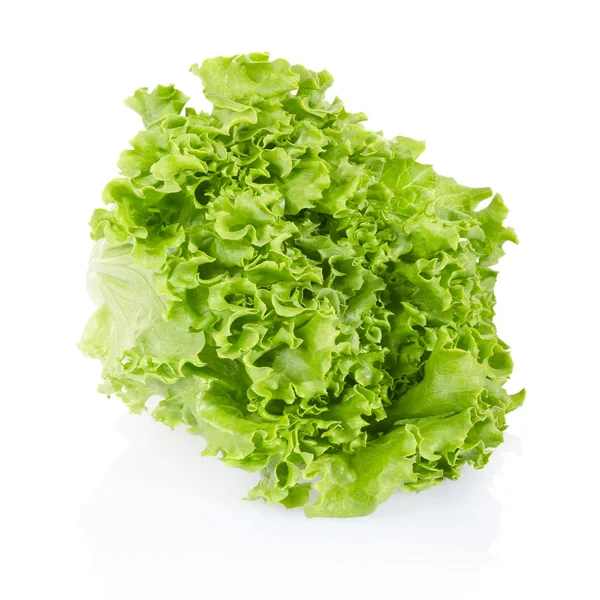 Fej saláta — Stock Fotó