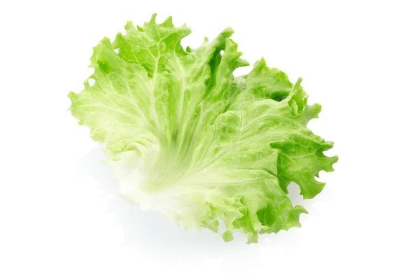 Frunză de salată verde — Fotografie, imagine de stoc