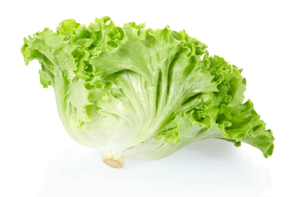 Fej zöld saláta — Stock Fotó