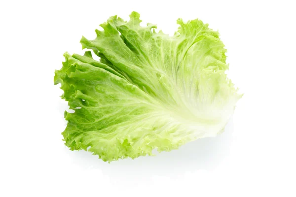 Foglia di insalata verde — Foto Stock