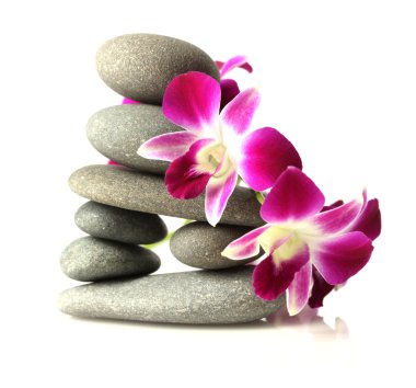 Orchids on stacked stones clipart