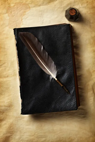 Quill on a old book — Stock Photo, Image