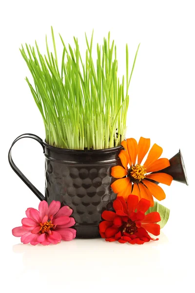 Watering can with grass & flowers — Stock Photo, Image