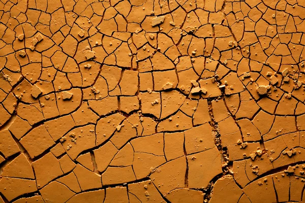 Terra crepata essiccata — Foto Stock