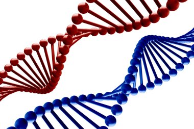 DNA - 3d clipart