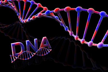 DNA-3d clipart