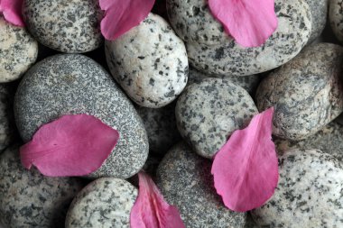 Smooth stones with flower petals clipart