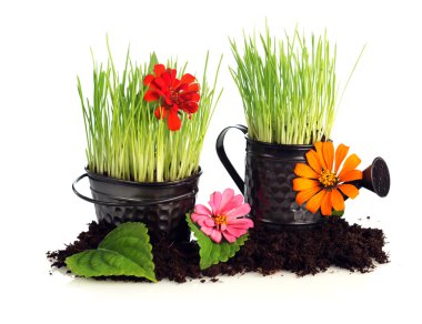 Watering can with grass & flowers clipart