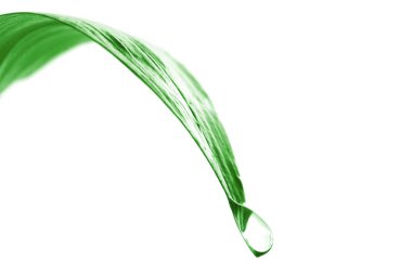 Water dripping off a leaf clipart