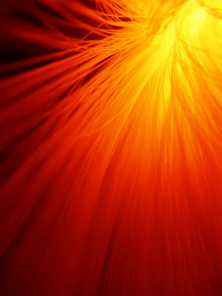 Sunburst in brand rood — Stockfoto