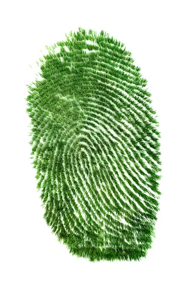 Fingerprint of grass — Zdjęcie stockowe