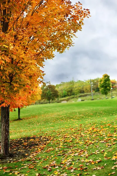 stock image Autumn scene