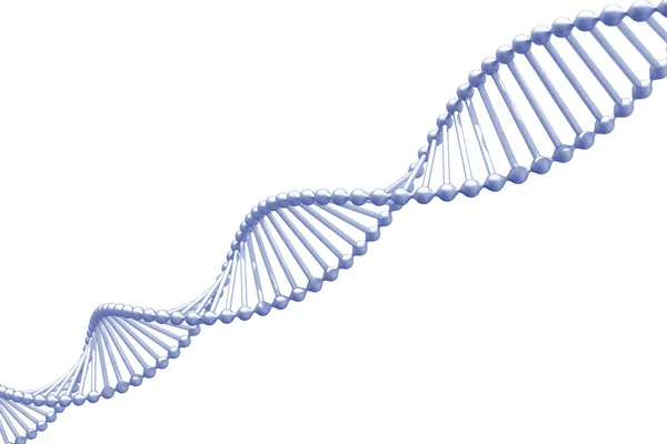 ДНК-3D. — стоковое фото