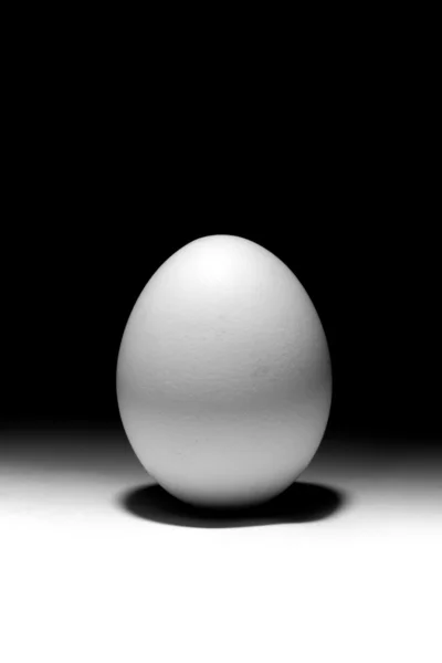 Einfaches Ei — Stockfoto