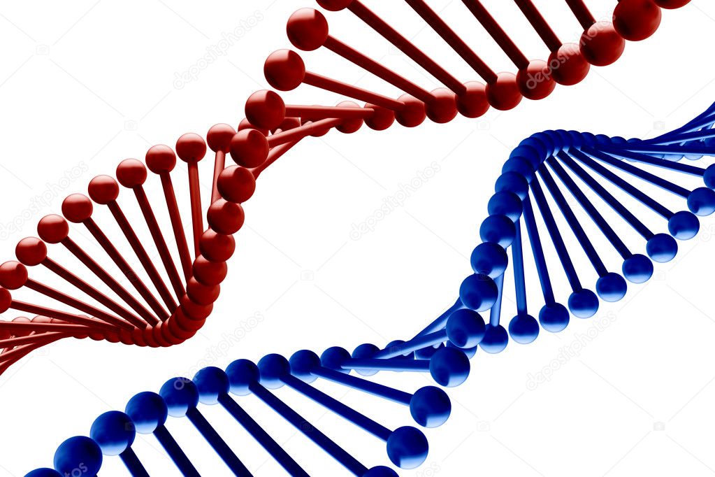 DNA - 3d