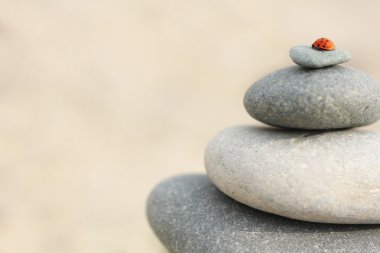 Ladybug on stacked stones clipart