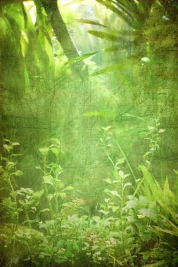 Grunge plants background clipart