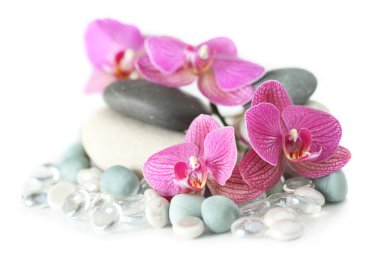 Orchid laying on stones clipart