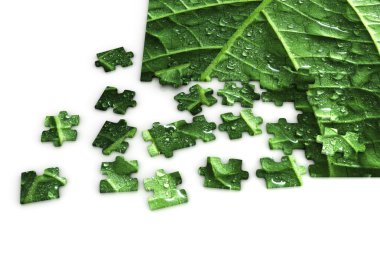 Puzzle of a leaf clipart